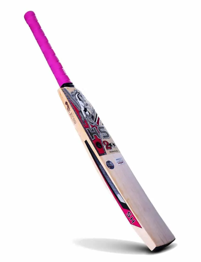 HS 2 Star – English Willow Cricket Bat